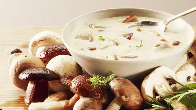 Courtesy ShutterStock.com