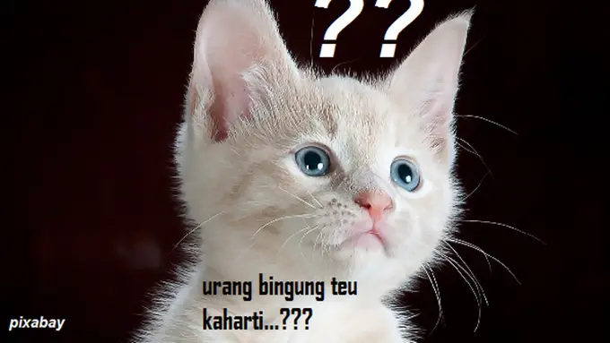 Bukti Tanda Baca Jadi Hilang di Perdebatan Orang Sunda dan Padang