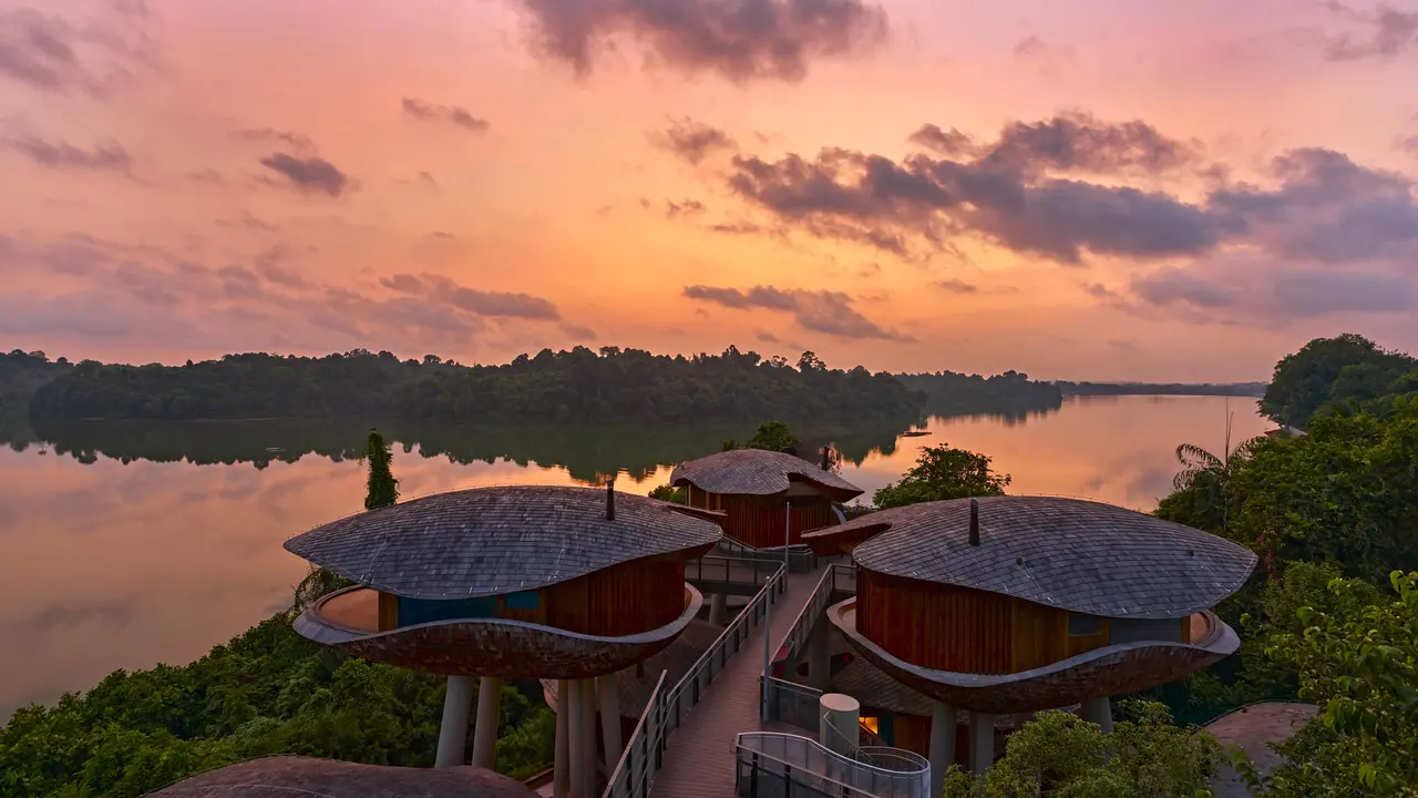 Resort Eksklusif di Cagar Alam Mandai Singapura Segera Dibuka April 2025, Tamu Dapat Akses Khusus Bertemu Hewan
