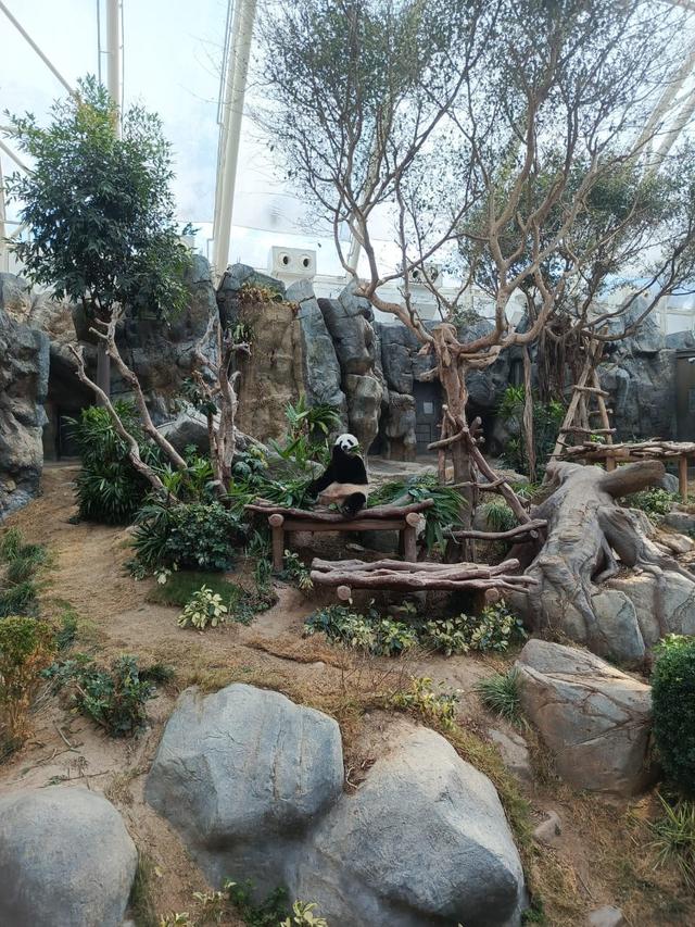 Penyebab Ketegangan Diplomatik Jepang - China