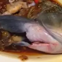 Seekor ikan masih bisa menggoyangkan siripnya meski sudah direbus dan disiram saus. What the?