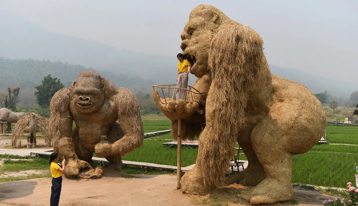 Siswa berfoto dengan patung King Kong raksasa yang terbuat dari jerami di Huay Teung Tao Lake, Don Kaeo, Chiang Mai, Thailand, Rabu (3/4). Patung King Kong ini memiliki tinggi kurang lebih 8 meter. (Lillian SUWANRUMPHA/AFP)