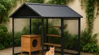 10 Model Rumah Kucing Outdoor yang Nyaman, Sederhana tapi Bikin Anabul Betah