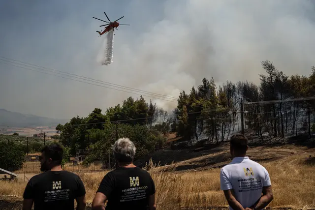 Kebakaran Hutan, Nyaris Separuh Pulau di Yunani Hangus Terbakar