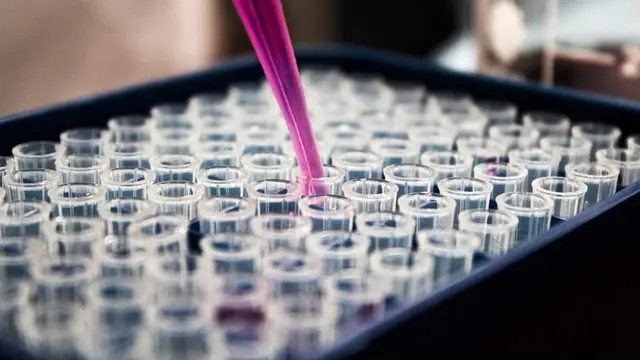 Lab. Foto: Unsplash/ Louis Reed