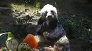 <p>Panda raksasa China An An merayakan ulang tahunnya yang ke-29 di Ocean Park di Hong Kong pada 28 Juli 2015. Panda raksasa jantan tertua di dunia yang pernah ditahan pada Kamis, 21 Juli 2022 mati setelah di-eutanasia di Hong Kong, menyusul memburuknya kesehatannya dalam beberapa pekan terakhir. (AP Photo/Kin Cheung)</p>