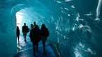 Wisatawan mengunjungi sebuah gua es yang dikenal dengan "La Grotte de Glace", di gletser Mer de Glace (Lautan Es) di Chamonix-Mont-Blanc, Pegunungan Alpen Prancis, Jumat (19/7/2019). Gua yang berada di lereng Mont Blanc ini memiliki panjang 7 km dengan kedalaman 200 meter. (PHILIPPE DESMAZES/AFP)