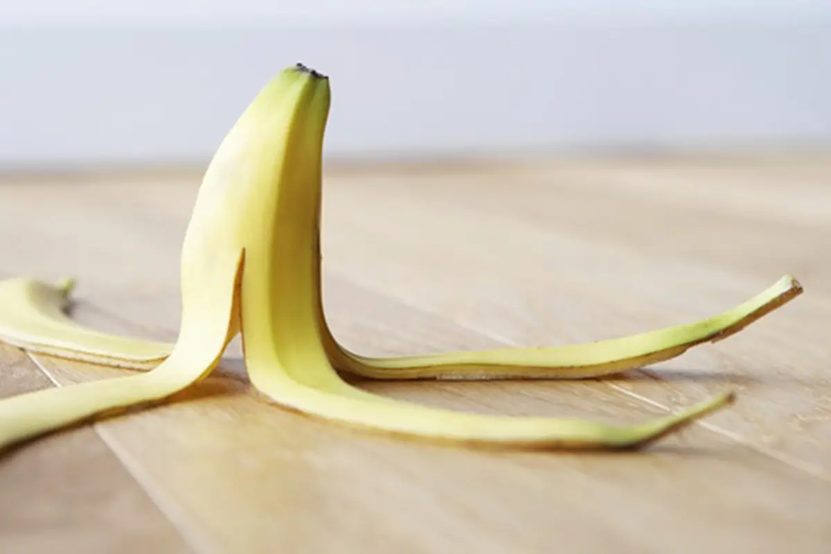 Foto: copyright by thinkstockphotos.com
