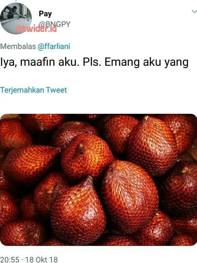 Kejeniusan Warganet Bikin 9 Cuitan Receh Bergambar Ini Kocak Banget