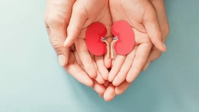 Tingkatkan Fungsi Ginjal