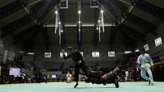 Pesilat saat beraksi pada ajang Kejurnas Pagar Nusa di Padepokan Pencak Silat TMII, Jakarta, Minggu (6/1/2020). Sebanyak 487 pesilat dari seluruh Indonesia berpartisipasi dalam Kejurnas sekaligus Harlah ke-34 Pagar Nusa. (Bola.com/M Iqbal Ichsan)