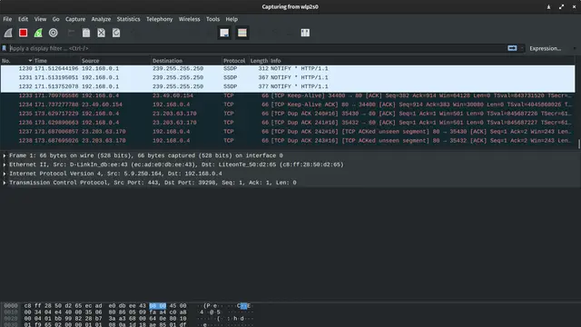 Ilustrasi Wireshark