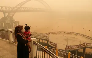 Cerita Miris di Tengah Kabut Asap Kebakaran Hutan