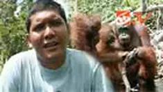 liputan6