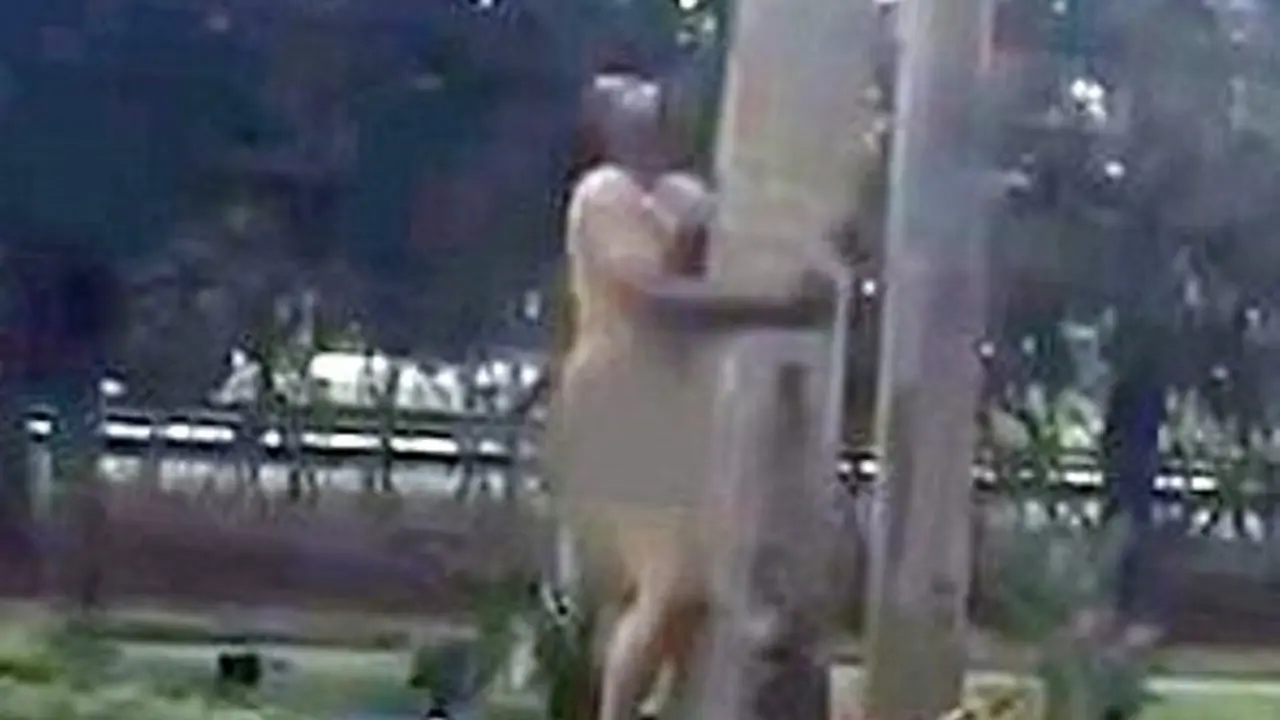 berhubungan badan, aktivitas seksual, 