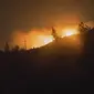 Kebakaran melanda kawasan Gunung Ijen. (Hermawan/Liputan6.com)