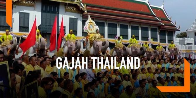 VIDEO: Gajah Beri Hormat kepada Raja Thailand yang Baru