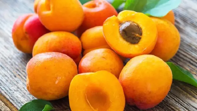 [Bintang] Buah Aprikot