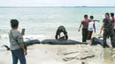 Sementara, sekitar 34 ekor paus lainnya berhasil dievakuasi dan diarahkan kembali ke laut oleh petugas bersama masyarakat setempat. Pihak Balai Kawasan Konservasi Perairan Nasional (BKKPN) Kupang terus melakukan pemantauan untuk mengantisipasi kemungkinan adanya paus lain yang kembali terdampar. Tampak dalam foto yang diambil pada 10 Maret 2026 menunjukkan petugas polisi berupaya menyelamatkan paus pilot yang terdampar di pantai Mbadokai, Desa Deranitan, Kabupaten Rote Ndao, Nusa Tenggara Timur (NTT), pada Senin 9 Maret 2026. (Foto: AFP)