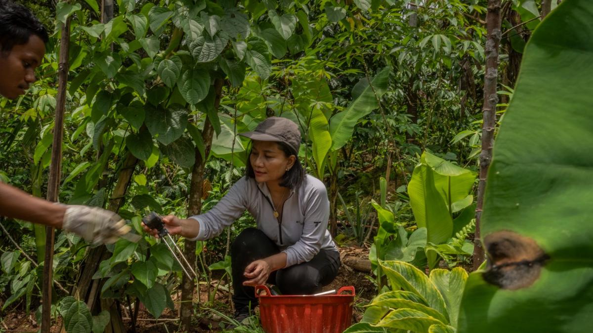 Inovasi Produksi Superfood Berbasis AI dari Indonesia Raih Pendanaan Food for Tomorrow 2026