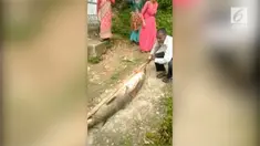 Warga yang menangkap lele tersebut malah memakannya beramai-ramai.