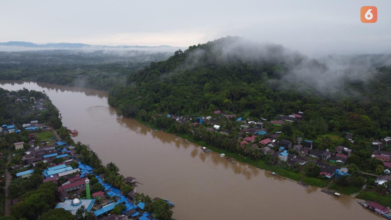 Hutan Hujan Tropis Kalimantan