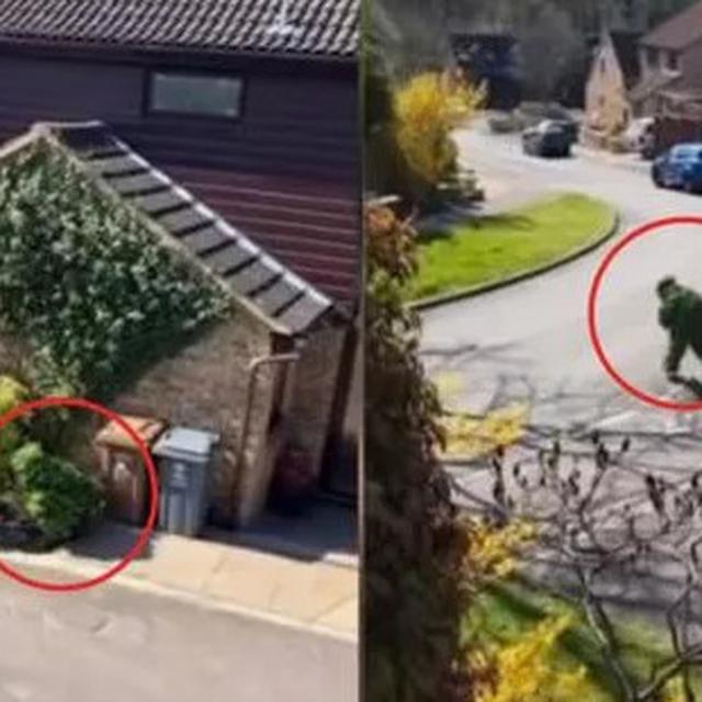 Viral Pria Menyamar Jadi Semak Semak Keluar Rumah Saat Karantina