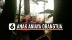 aniaya ayah thumbnail