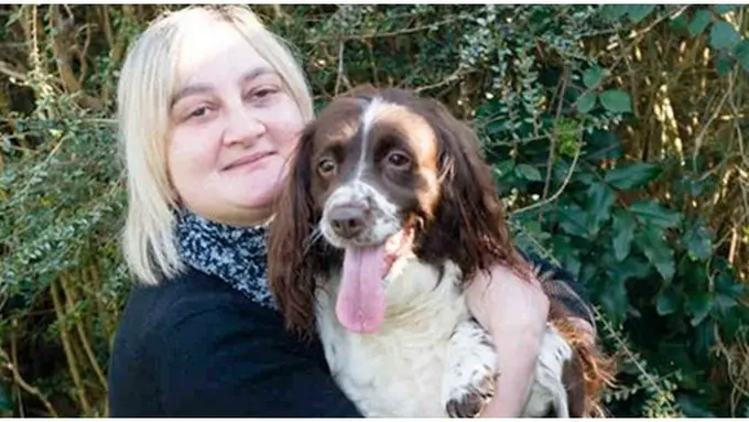 Foto: copyright mirror.co.uk