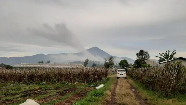 Perkebunan Cibodas Family Farm