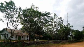 77 Tahun Merdeka, Warga Desa Labai Hilir Kalbar Belum Nikmati Listrik
