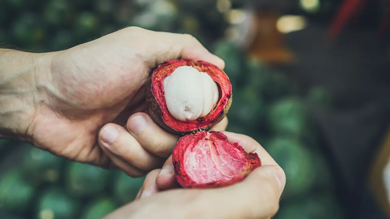 ilustrasi manfaat buah manggis untuk kesehatan/unsplash