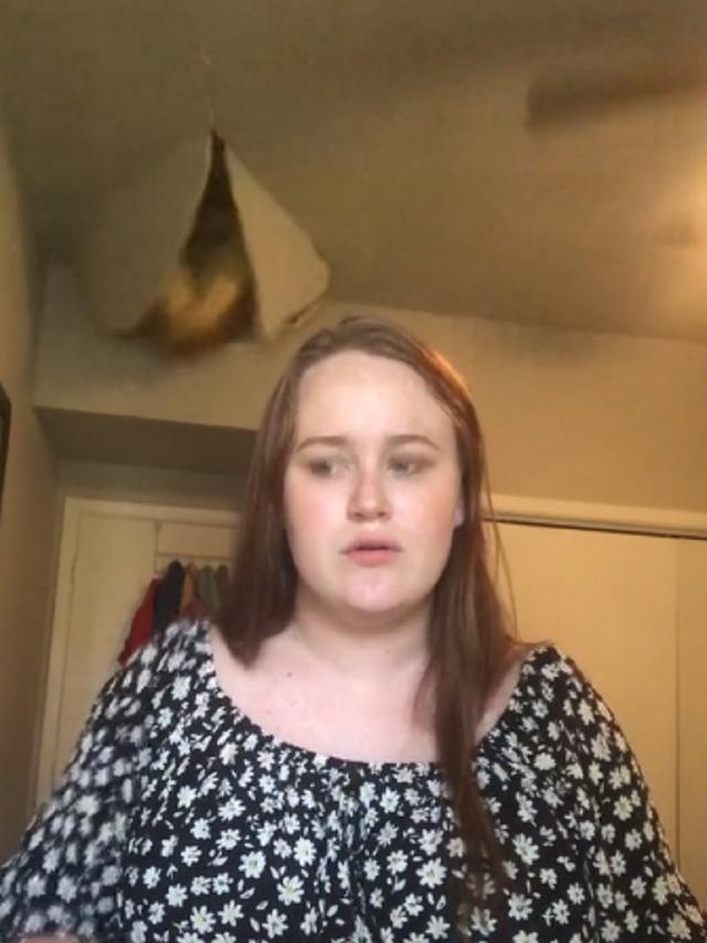 viral tiktok