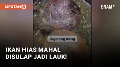Bikin Suami Asyik Sendiri, Wanita Ini Goreng Ikan Hias Jutaan Rupiah