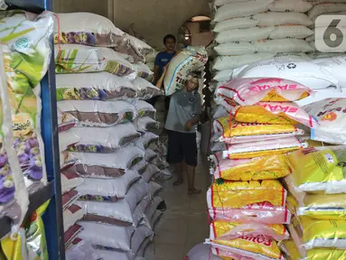 Buruh membawa karung beras di pasar induk beras Cipinang, Jakarta, Sabtu (16/5/2020). Mengantisipasi penyebaran Covid-19 sejumlah kuli dan buruh di Pasar Induk beras Cipinang diberi obat herbal mentah untuk meredakan panas. (Liputan6.com/Herman Zakharia)