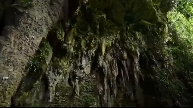 Desa Wisata Selasari