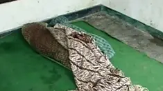 liputan6