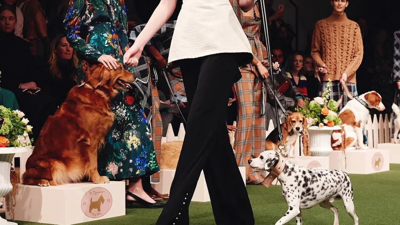 Pertunjukkan Anjing di New York Fashion Week 2019 Bikin Salah Fokus