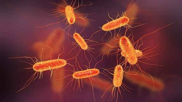 10 Bakteri yang Terdapat Pada Uang, Harus Diwaspadai