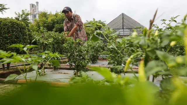 Edupark Semen Gresik Pabrik Rembang Membangun Kemandirian Pangan dan Ekonomi Warga