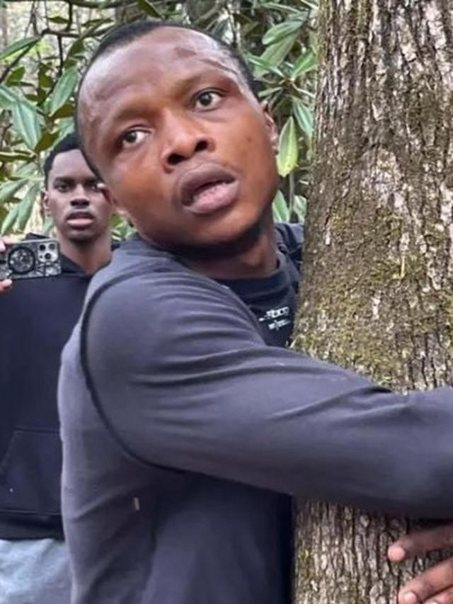 Pria Pria Peluk Ribuan Pohon dalam Sejam