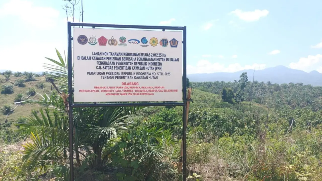 Satgas PKH Sita Kebun Sawit Ilegal