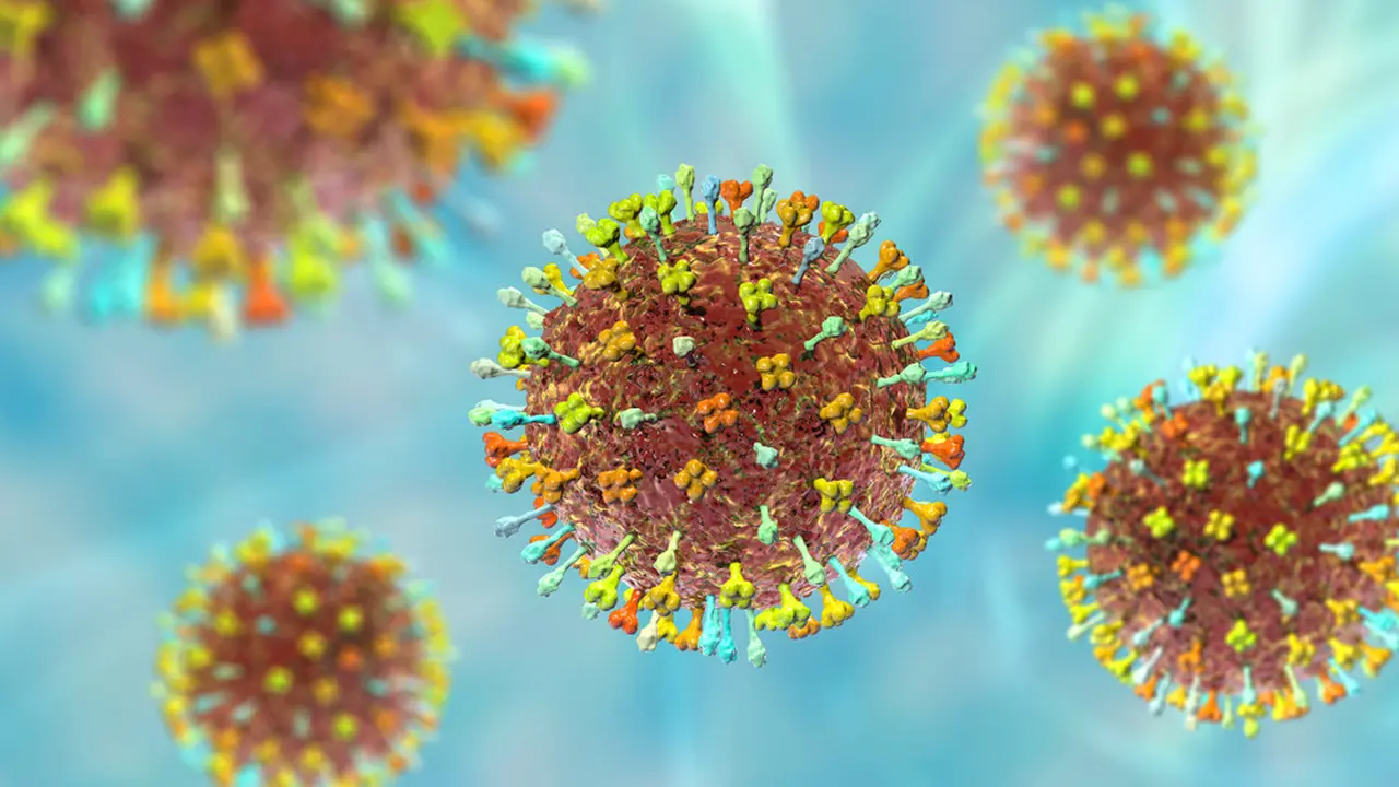 Ilustrasi Virus Hendra