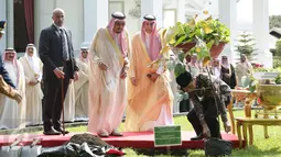 Presiden Jokowi menyiapkan pohon yang akan ditanam Raja Salman di halaman tengah Istana Merdeka, Jakarta, Kamis (2/3). (Liputan6.com/Angga Yuniar)
