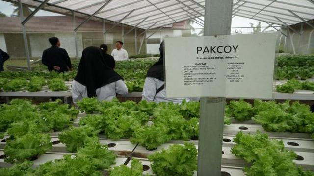 Gerai Energi Jambi, binaan PHR Pertamina Field Jambi (Foto: PHE)