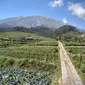 Pengunjung Taman Nasional Gunung Merbabu yang berasal dari luar Jawa Tengah harus menyerahkan rapid test (dok.instagram/@balai_tn_gunungmerbabu/https://www.instagram.com/p/CBYJj5HjGjQ/Komarudin)