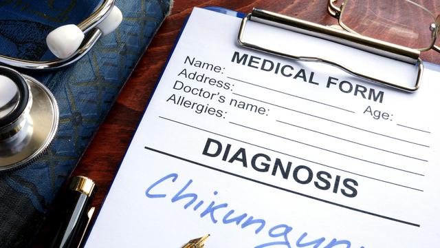 Chikungunya Adalah Flu Tulang, Kenali Gejala dan Penyebabnya