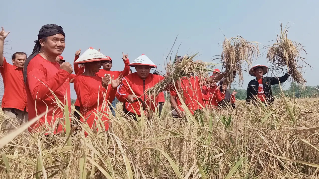 Petani di Bekasi Dukung Ketahanan Pangan.