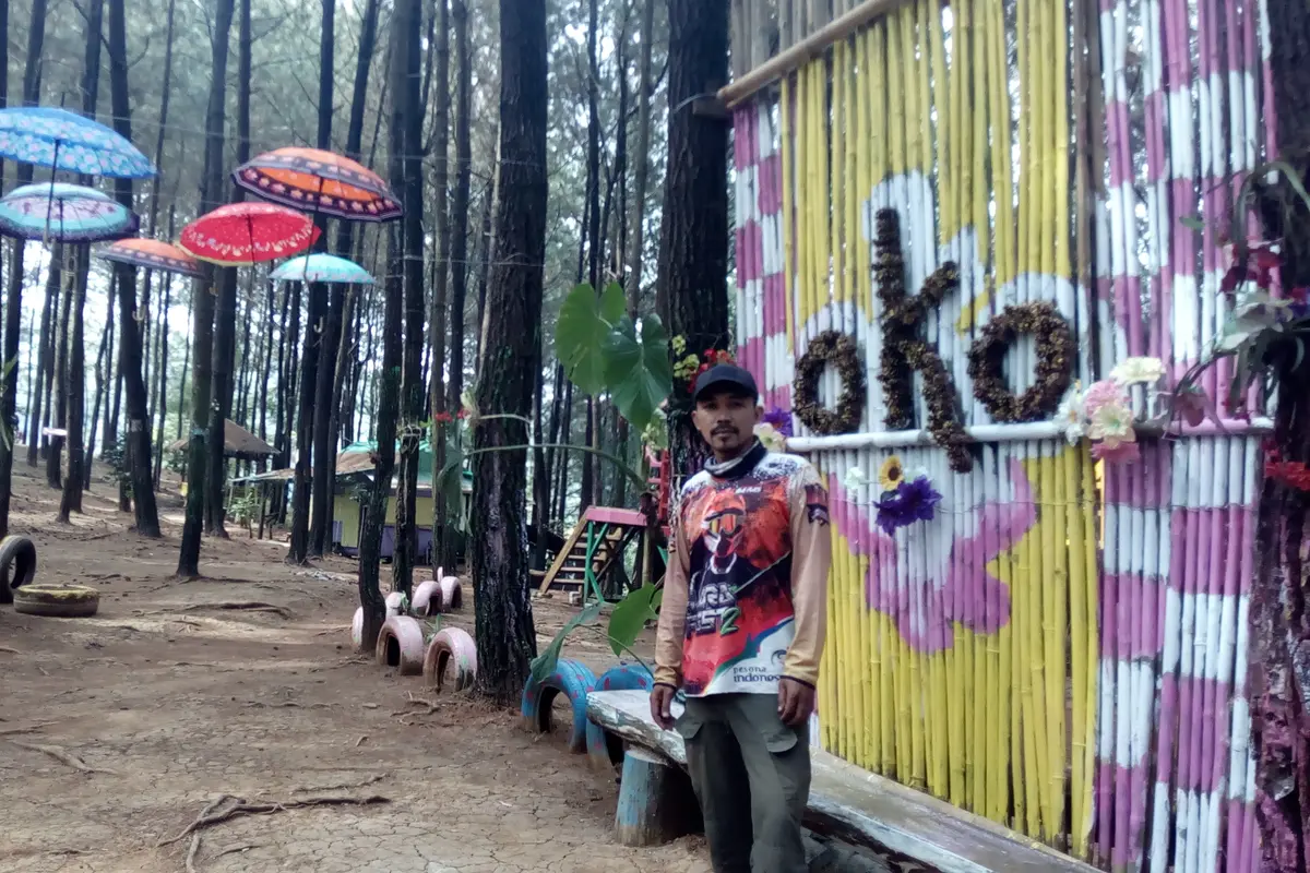 Kawasan pinus hutan Oko sangat asri dan sejuk untuk dinikmati para pengunjung yang datang
