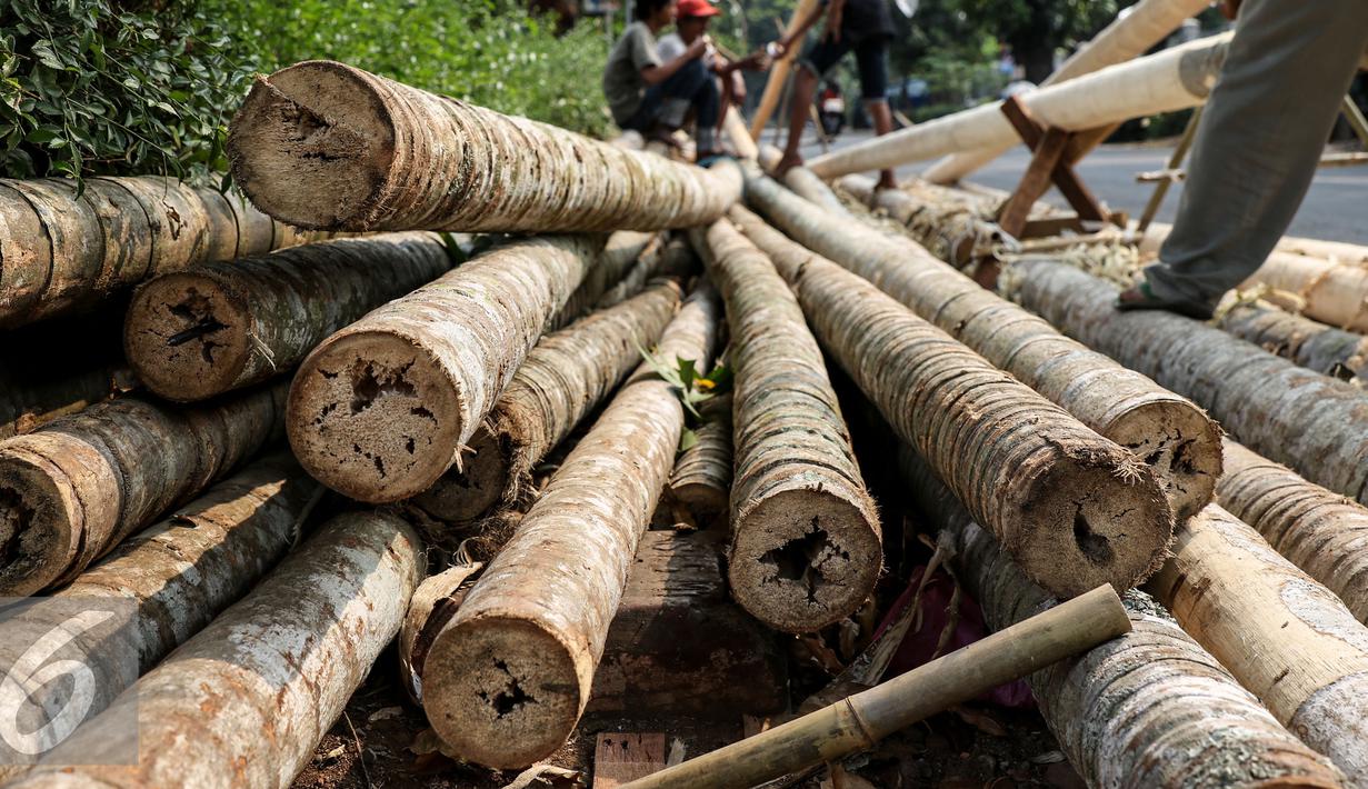 Banyaknya pohon pinang di Tanah Air turut berpengaruh terhadap kebudayaan dan bahasa di negeri ini.